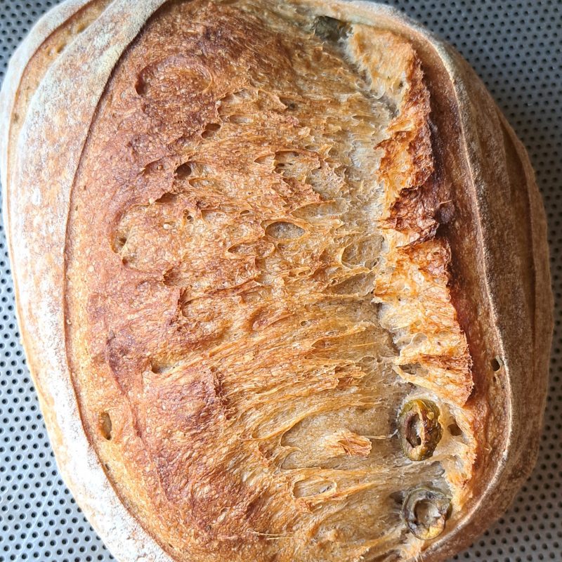 Oliver-oreganobröd