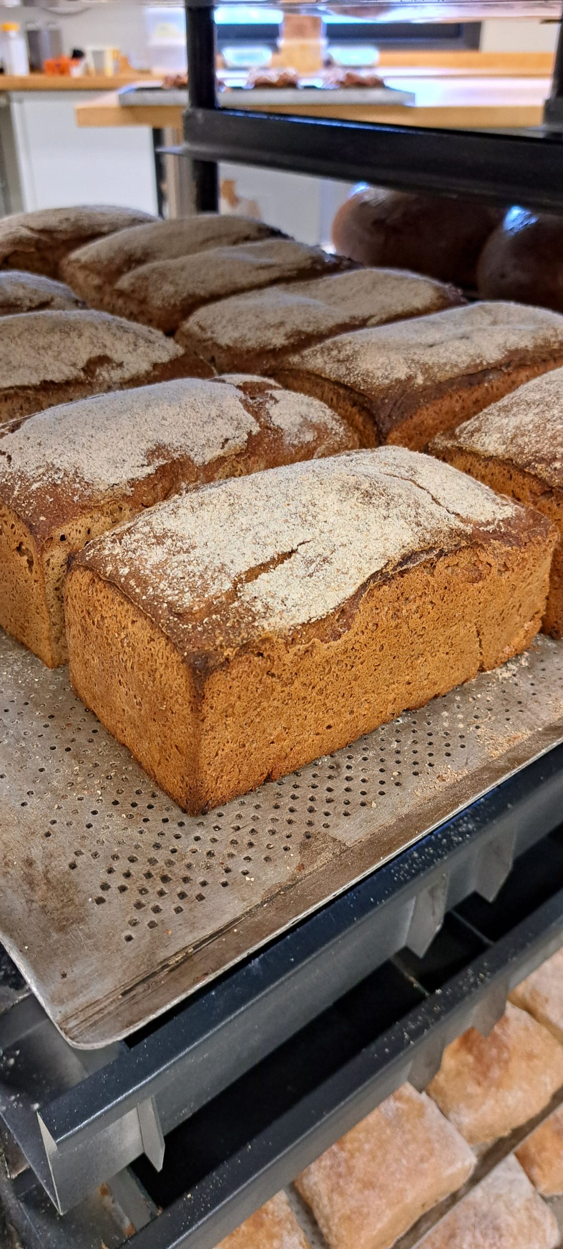 Rågkrossbröd